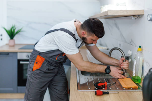 Best Residential Plumbing Services  in Somerset, PA