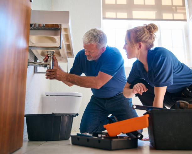 Best Residential Plumbing Services  in Somerset, PA